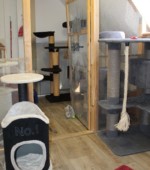 Unsere Räume Svg+xml,%3Csvg%20xmlns%3D%22http%3A%2F%2Fwww.w3